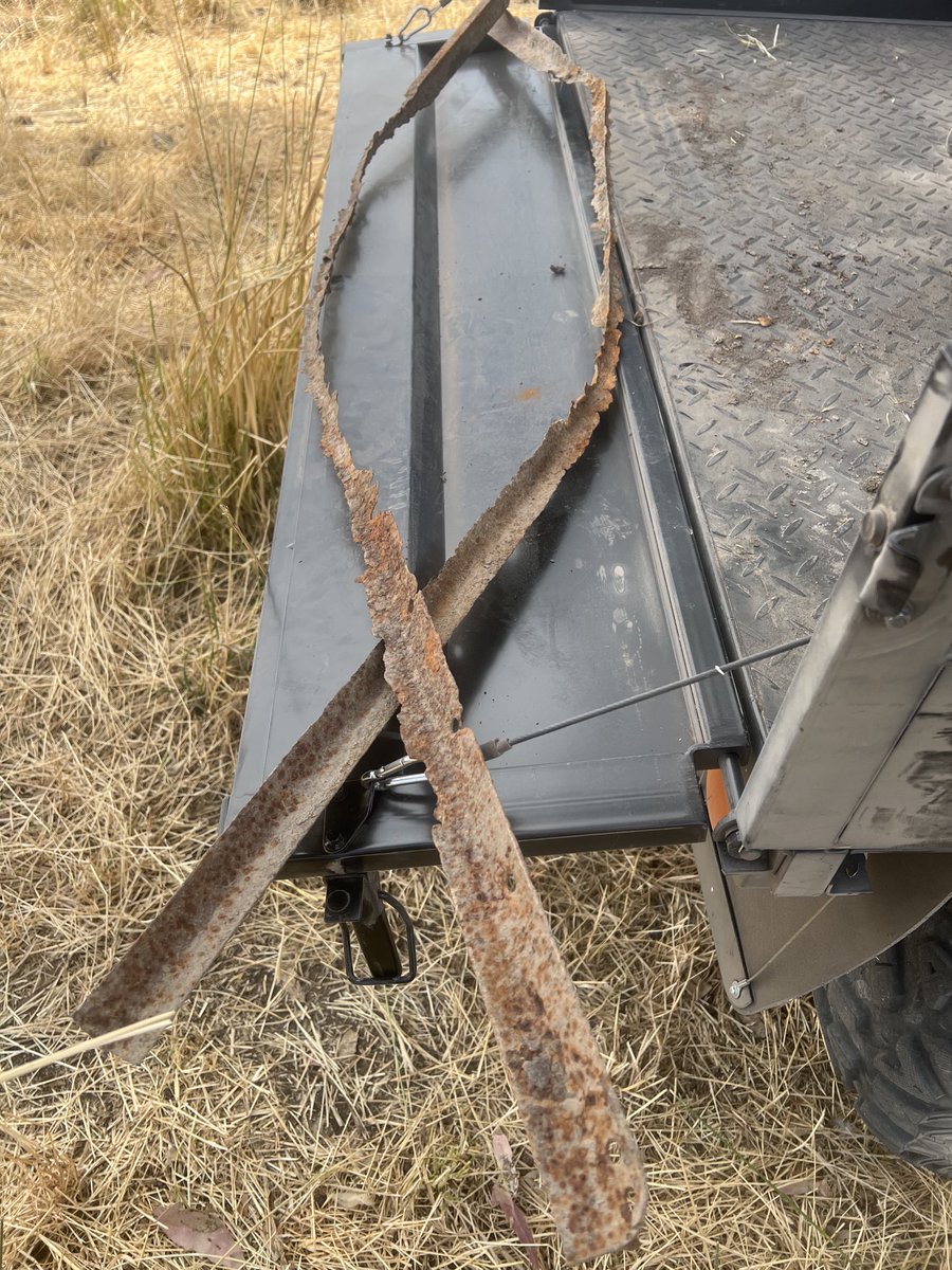 Daniel Moll tweet media