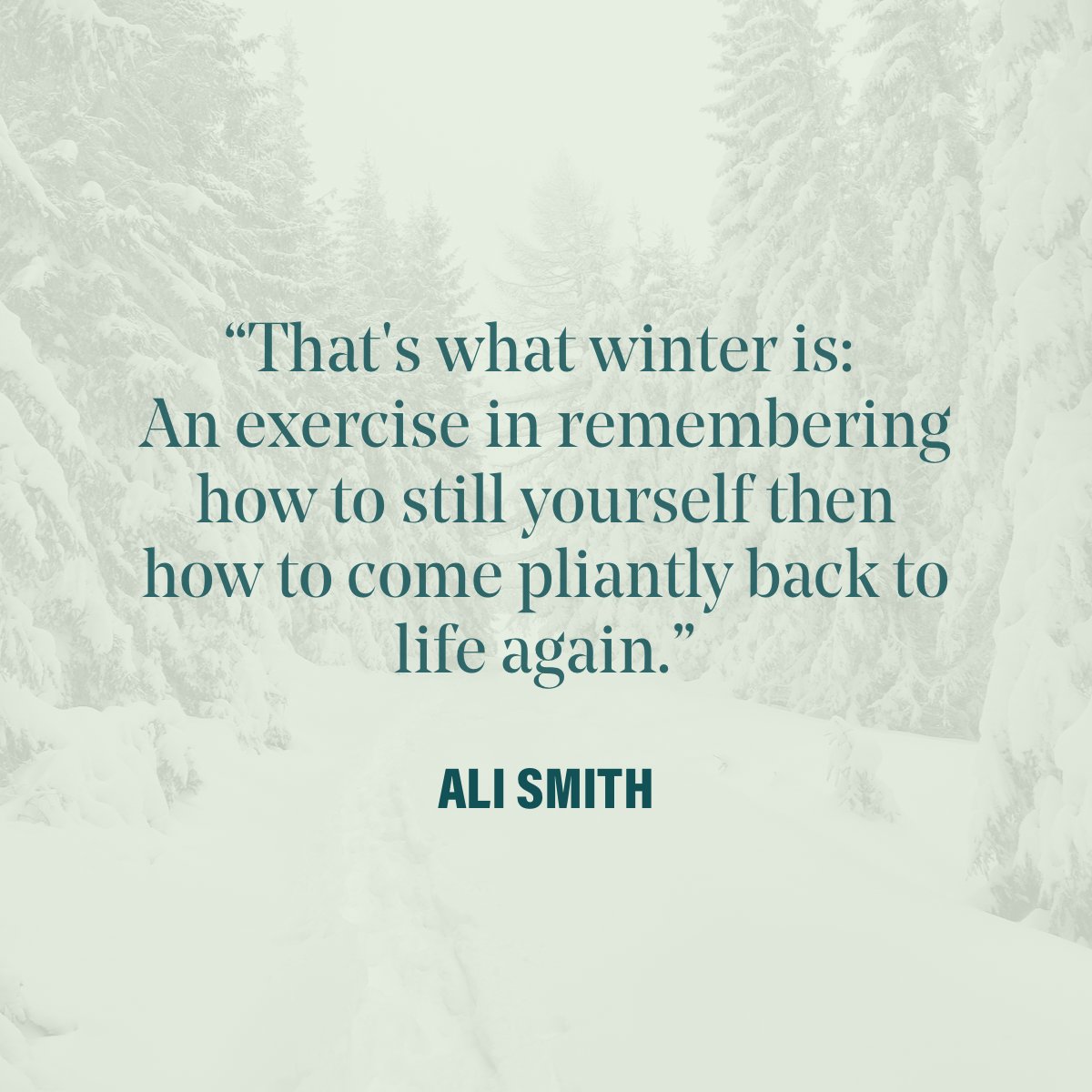 As we approach #WinterSolstice in the Northern hemisphere, we welcome the stillness of winter and reflect with gratitude on the inner light we each possess and share with one another—a light that lasts even through the longest night.