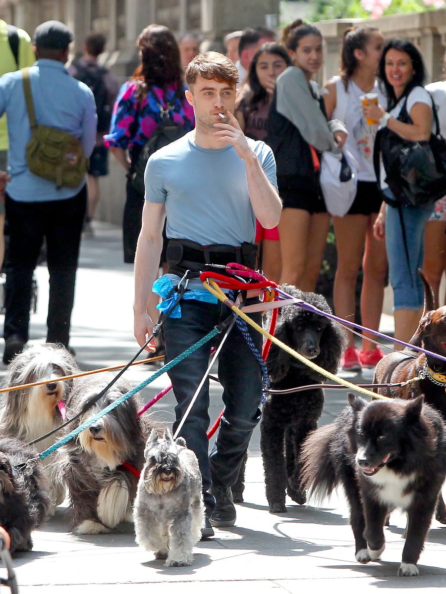 DIORDRARRY's tweet photo. for many, many years of my childhood. i operated under the impression that both of these images were simply. paparazzi pictures taken of daniel radcliffe in his daily life. https://t.co/uPXqXltP7N