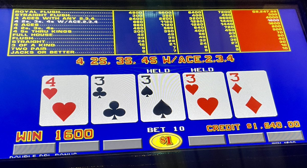 BlueOxTavern's tweet photo. Courtney, Pouring and Paying 🍻💰
#doubledoublebonuspoker #threeswithakicker #jackpothandpay #WIN1600 #blueoxtavern https://t.co/T1NkhQkmCV