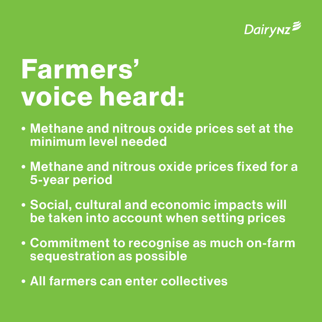 DairyNZ tweet media