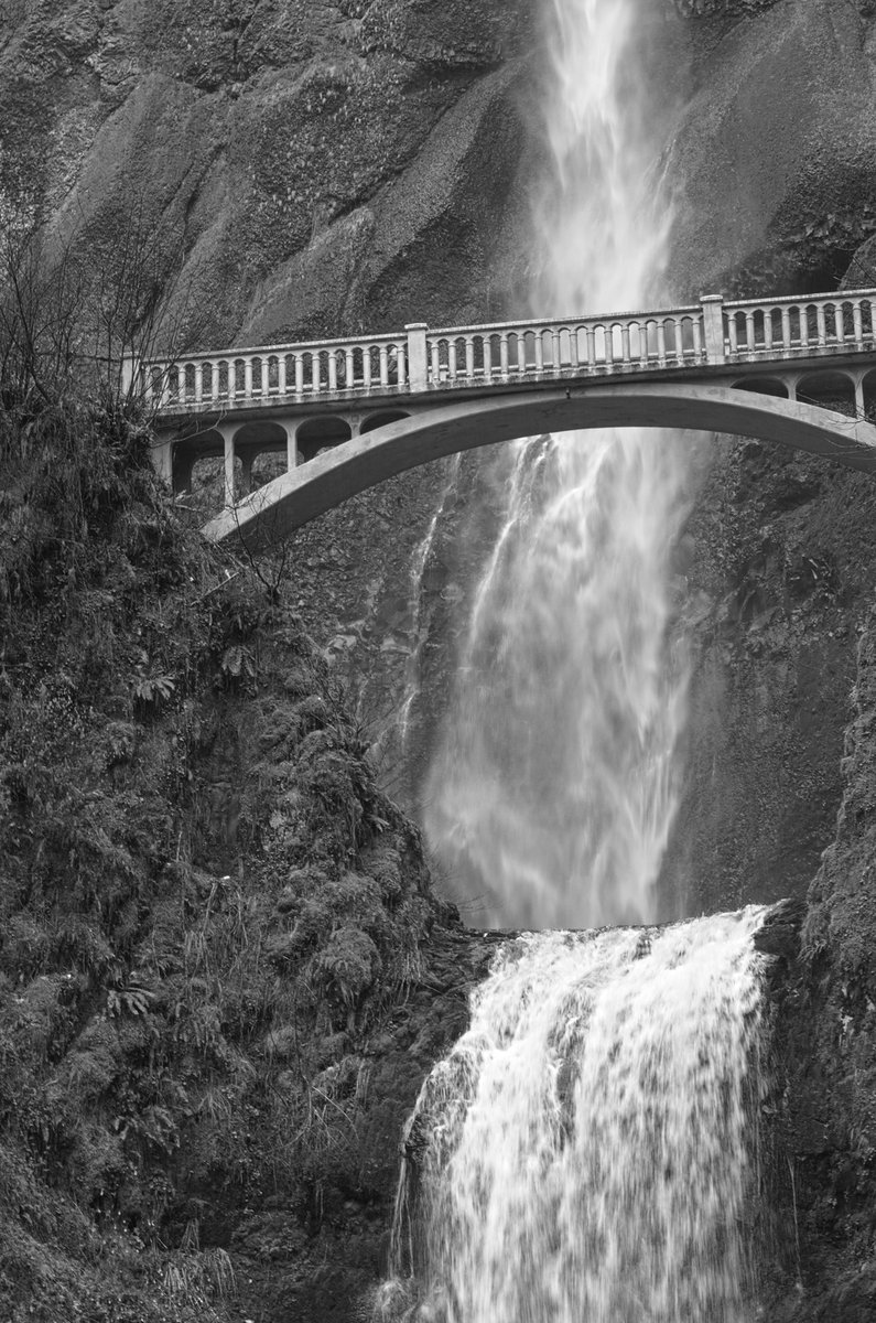 Multnomah Falls in Monochrome

#MultnomahFalls #Oregon #travelphotography