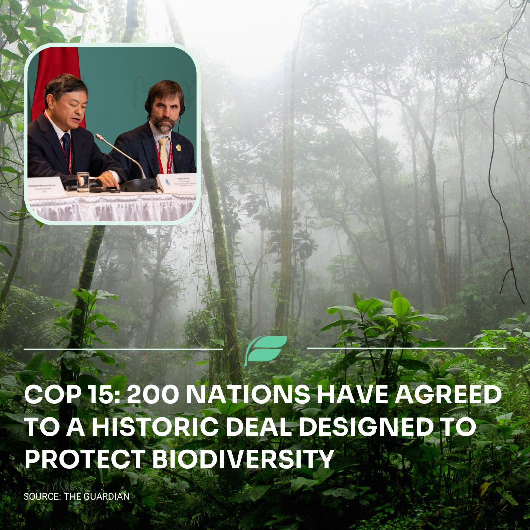 FlitInvest's tweet photo. Are you excited or disappointed about the results of the COP15 conference? Comment below 👇

#COP15 #Biodiversity #Nature #Conservation #SustainableInfluencer #Sustainability #ImpactInvesting #SustahinableInvesting #SustainableFinance https://t.co/EXwwoV0voo