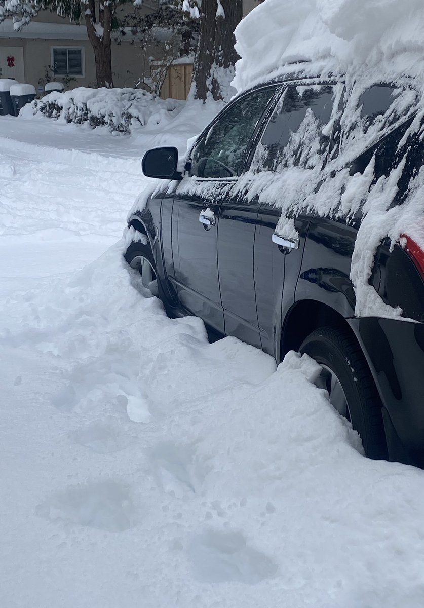 MissWest003's tweet photo. I don’t own a scraper but apparently a wrapping paper tube works just as well👍 ….now onto shovelling 😫 #snowtips #snowhacks #BCSnow #BCStorm https://t.co/obCR36tFcI