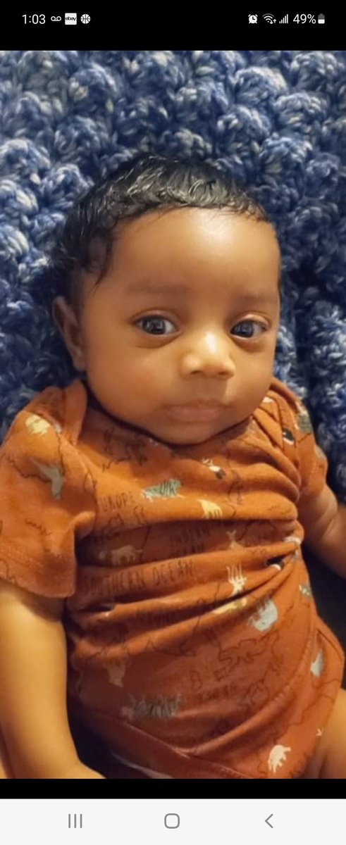StixxxNStuff's tweet photo. The smallest of the George clan https://t.co/sHDD17kvpx