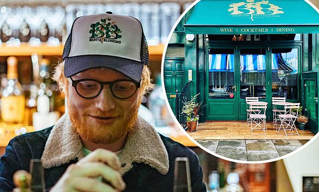 Ed Sheeran's Notting Hill bar in London is yet to turn a profit after ... - Daily Mail #EdSheeran dlvr.it/SfhddX