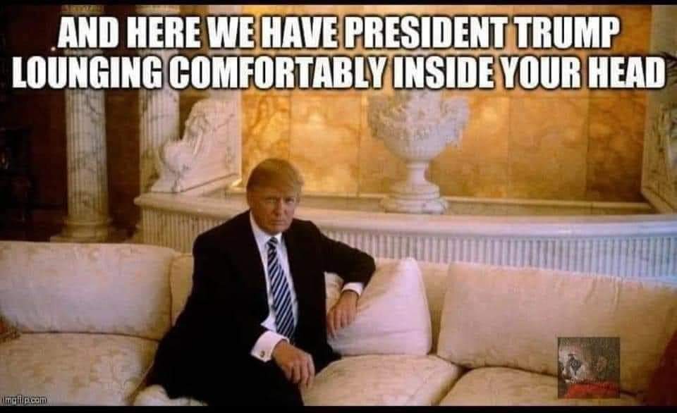 BassmanJT's tweet photo. @alfranken https://t.co/Uiute0Ymcj
