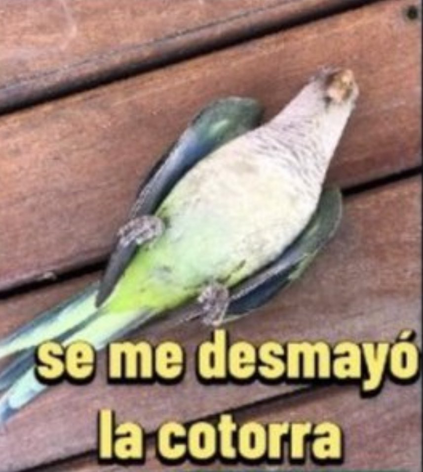 MaiiMercado's tweet photo. Perdón pero te como hermano https://t.co/83IvXH9ug3