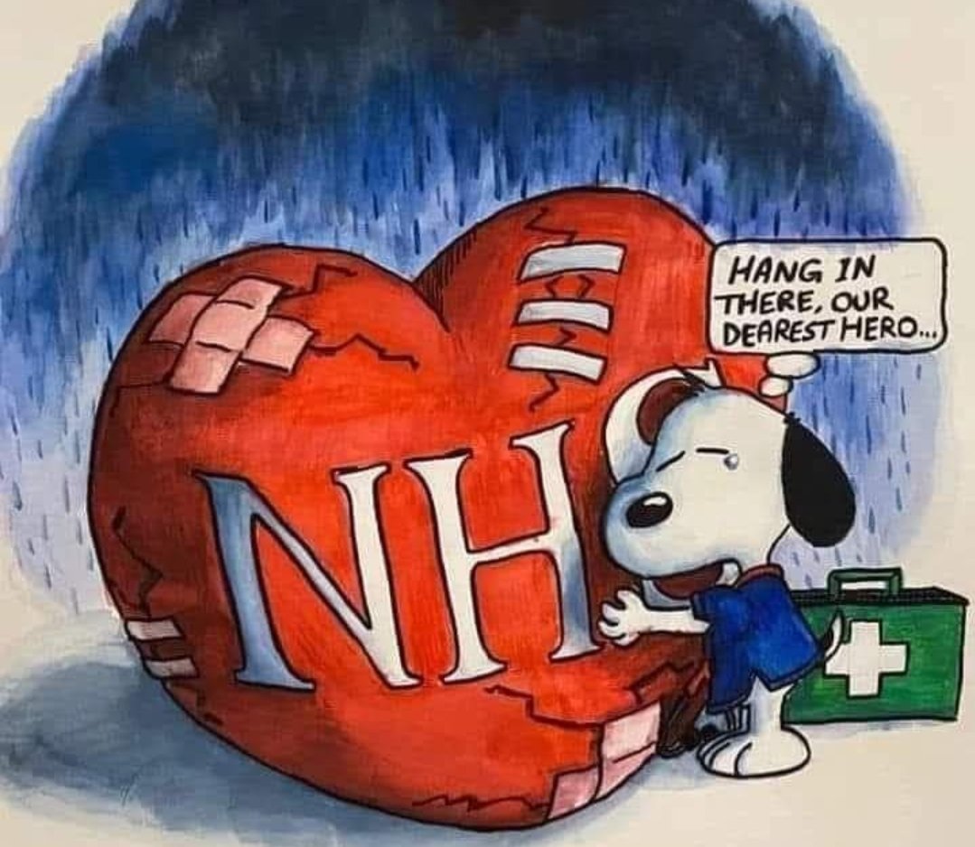 lisa marshall tweet media