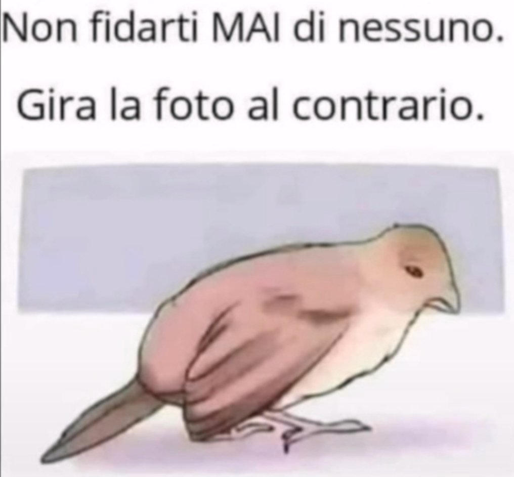 santarsiero's tweet photo. https://t.co/0lQJZbUMBS