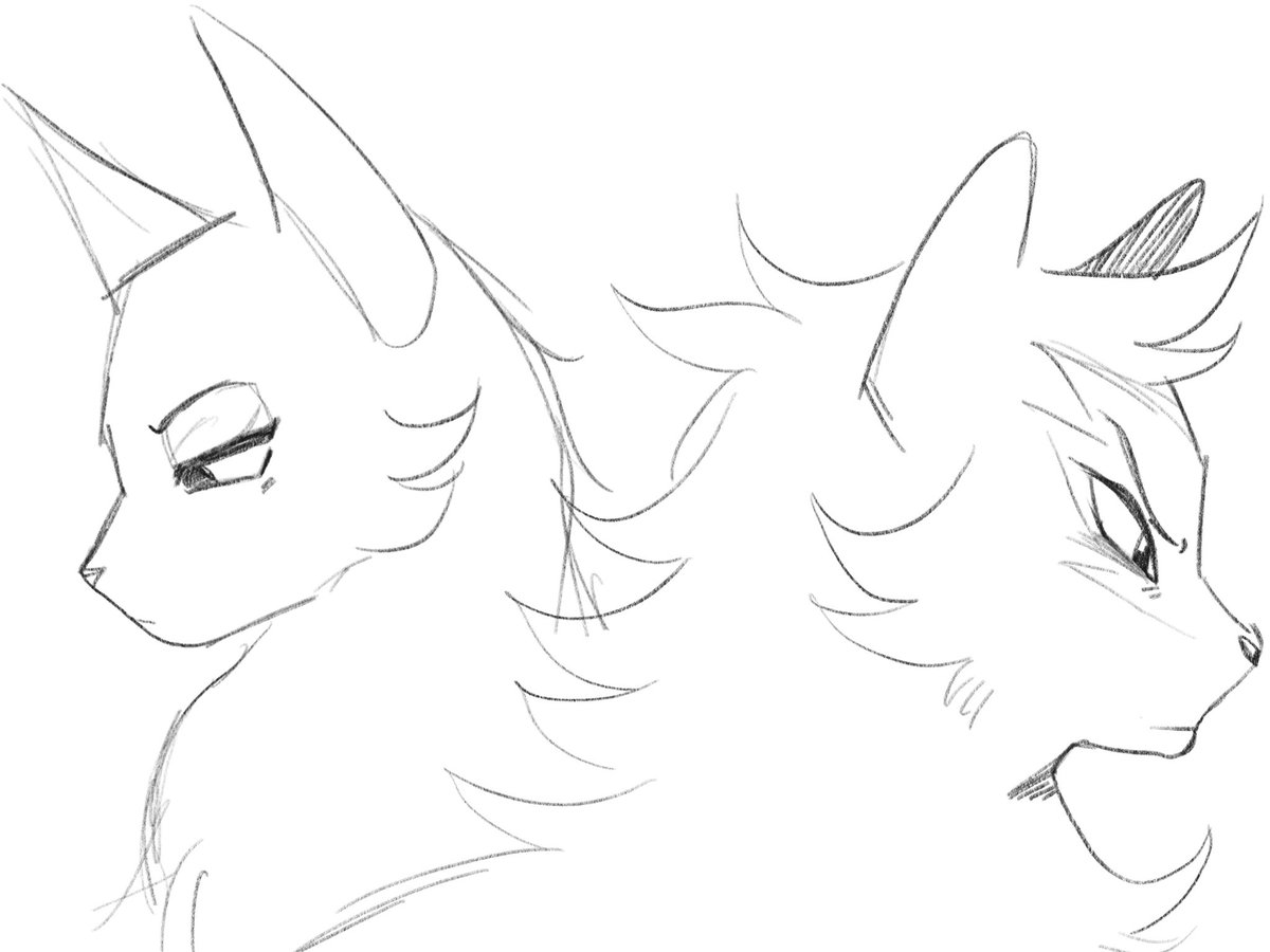 FruityTbone's tweet photo. Oakheart and Bluestar! Look at those lashes..... https://t.co/1IBYb5149f