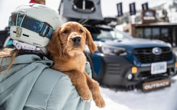 MediaPost's tweet photo. #Subaru #Powdr bring back #WinterFest, reports #TanyaGazdik https://t.co/I82ZSRlbpC https://t.co/7X2DhP79wo