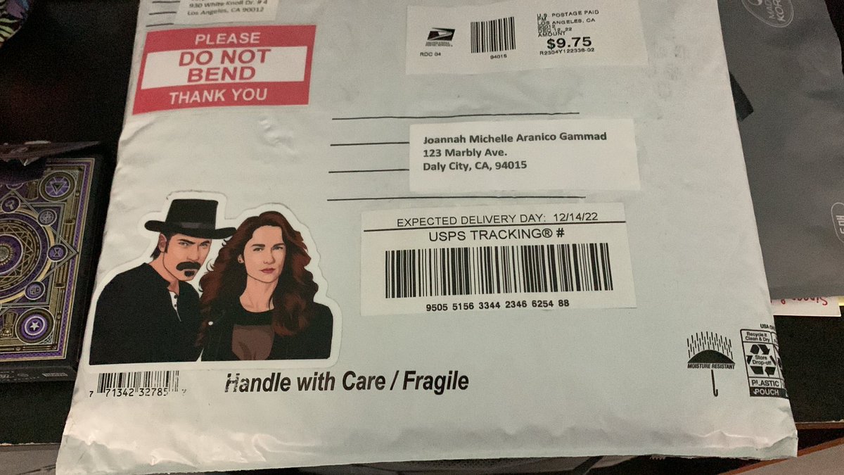 jmichelle1230's tweet photo. Look was in the mail box today?? Should I open my secret Santa gift now or wait till Christmas??? @earpdivisionxpo #BringWynonnaHome #WynonnaEarp https://t.co/Q3Yv1YdeT3