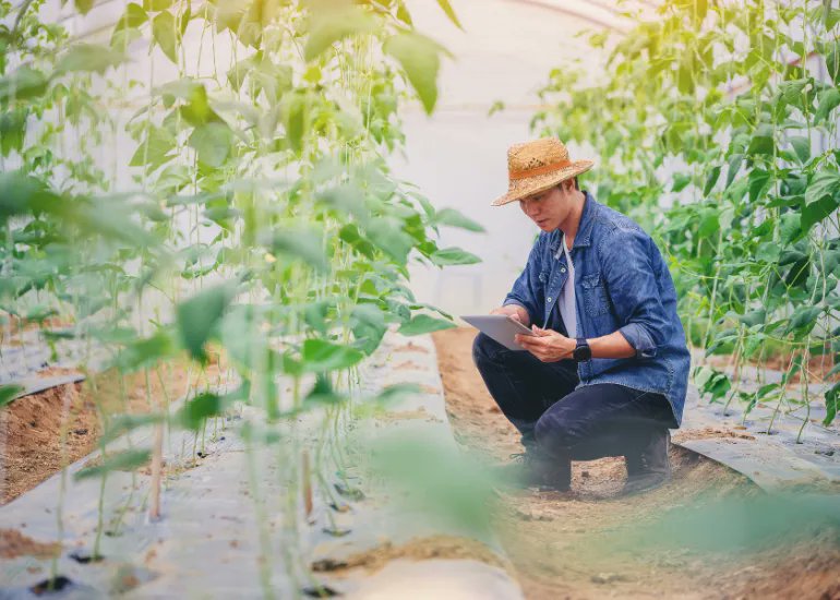 philcln's tweet photo. Australia's premier agrifood tech event @evokeAG program highlights #agtechaustralia #feedly https://t.co/sxBxkH8DtM https://t.co/5njeE8xZUN