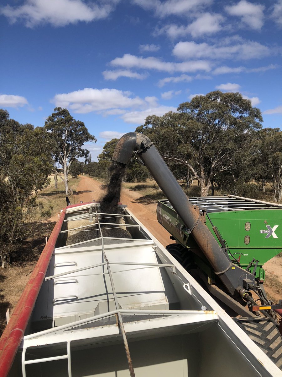 North Stirling Downs tweet media