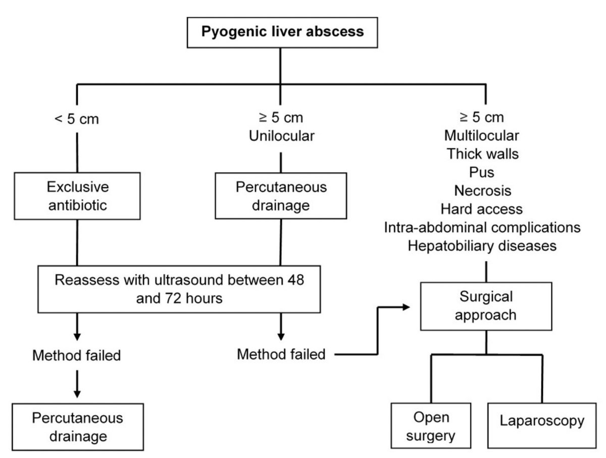 drkeithsiau's tweet photo. Management of liver abscess #MedEd #LiverTwitter

Via @FrontGastro_BMJ 
https://t.co/dSA8GtZozn https://t.co/DatpfYy1BY