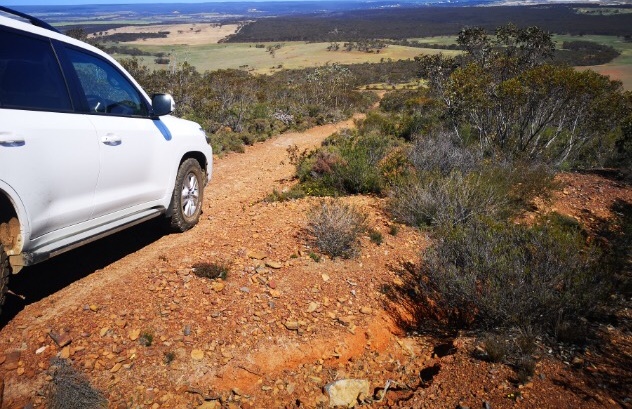 TrakaResources's tweet photo. MD Patrick Verbeek has just returned from a visit to #MtCattlin Gold Project.
Mt Cattlin Project is in close proximity to several #gold, #nickel &amp; #lithium mines, with historical workings and proven #high-grade gold endowment.

https://t.co/Iec0YOPTyN

#TKL #exploration https://t.co/XI51Saa41V