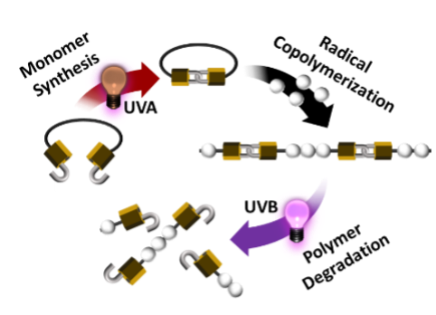 Programming Polymers (@hendrikfrisch) on Twitter photo Congratulations to Phuong on her first paper in <a href="/angew_chem/">Angewandte Chemie</a>! Great synergy between the soft matter and materials characterisation theme of <a href="/QUTmaterials/">QUTmaterials</a>.
Programming Photodegradability into Vinylic Polymers via Radical Ring‐Opening Polymerization onlinelibrary.wiley.com/doi/10.1002/an… Congratulations to Phuong on her first paper in <a href="/angew_chem/">Angewandte Chemie</a>! Great synergy between the soft matter and materials characterisation theme of <a href="/QUTmaterials/">QUTmaterials</a>.
Programming Photodegradability into Vinylic Polymers via Radical Ring‐Opening Polymerization onlinelibrary.wiley.com/doi/10.1002/an…