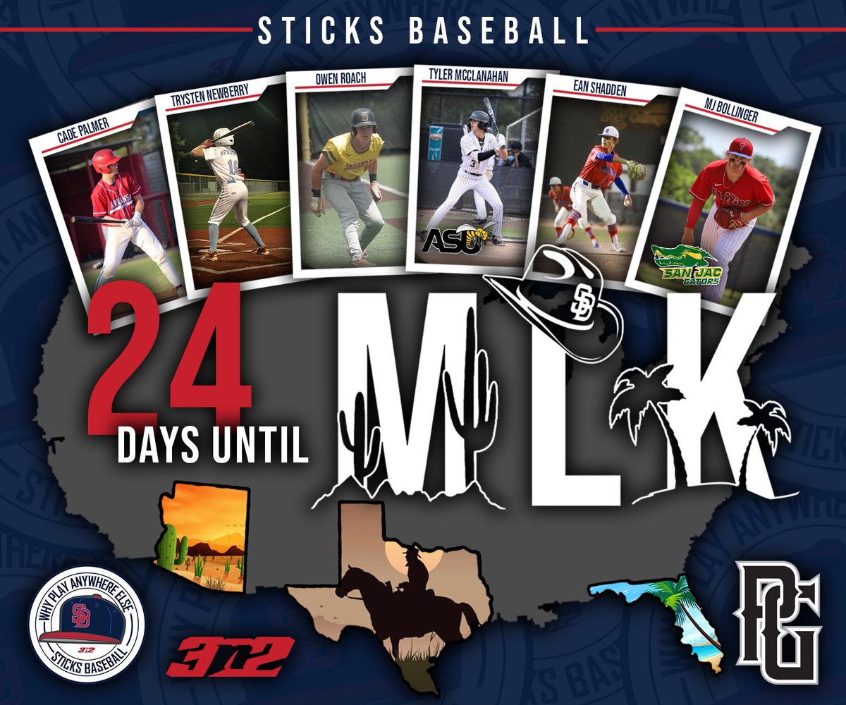 Sticks Baseball tweet media
