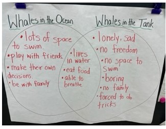 bayviewglenps1's tweet photo. Even students @BGPS in grade 1 know that an orca, Kiska, living in a tank is terrible. See this venn diagram. Help us to free Kiska so that she can go to the whale sanctuary in Nova Scotia. #freekiska #whalesanctuary #emptythetanks #animaljustice
#humanecanada #zoocheck https://t.co/TgJSjxv30E
