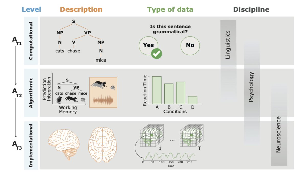 🆕📰New preprint: "Cleaning up the Brickyard: How Theory and Methodology Affect Experimental Outcome in Cognitive Neuroscience of Language"

Some of our (ex-)lab members have teamed up to discuss derivation chains in the cognitive neuroscience of language: psyarxiv.com/6zpjq