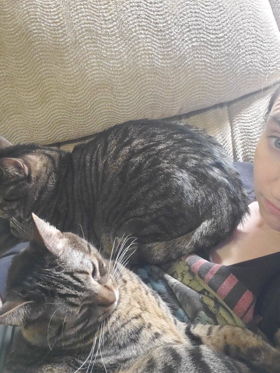 Grinchathon's tweet photo. I'm gonna sprint for an hour!!! :10 to :10 if anyone wants to join....mostly cuz I'm trapped here https://t.co/MNsbiRyoSQ