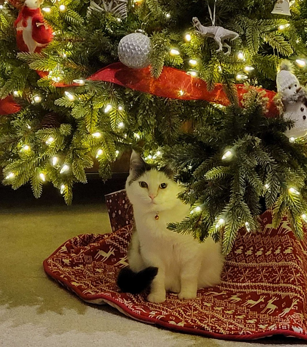 Emily S. Davidson (@esd108) on Twitter photo 