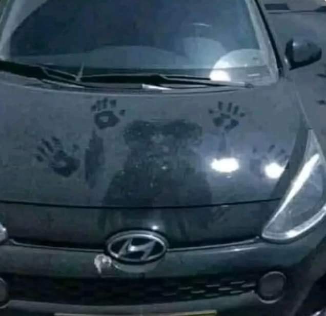 اظن ان ضفدع كبير كان على سيارتي😂😂