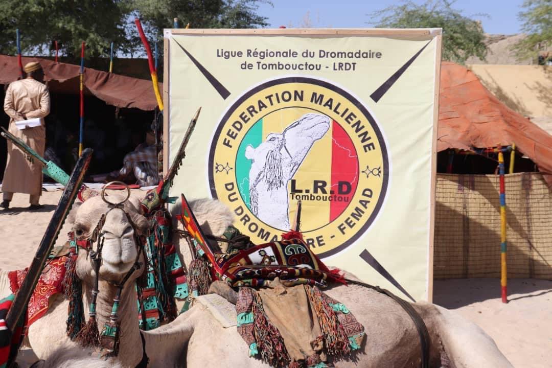 AttaherMossa's tweet photo. En marge des activités de la journée du Dromadaire à Tombouctou, j’ai assisté ce 17 décembre 2022 à la conférence sur le Dromadaire à la place de la Paix de Tombouctou sur le thème: « Le Dromadaire, un trésor négligé ».
👇🏽👇🏽
https://t.co/axfKBzb0cW https://t.co/V0Y6c86MFT
