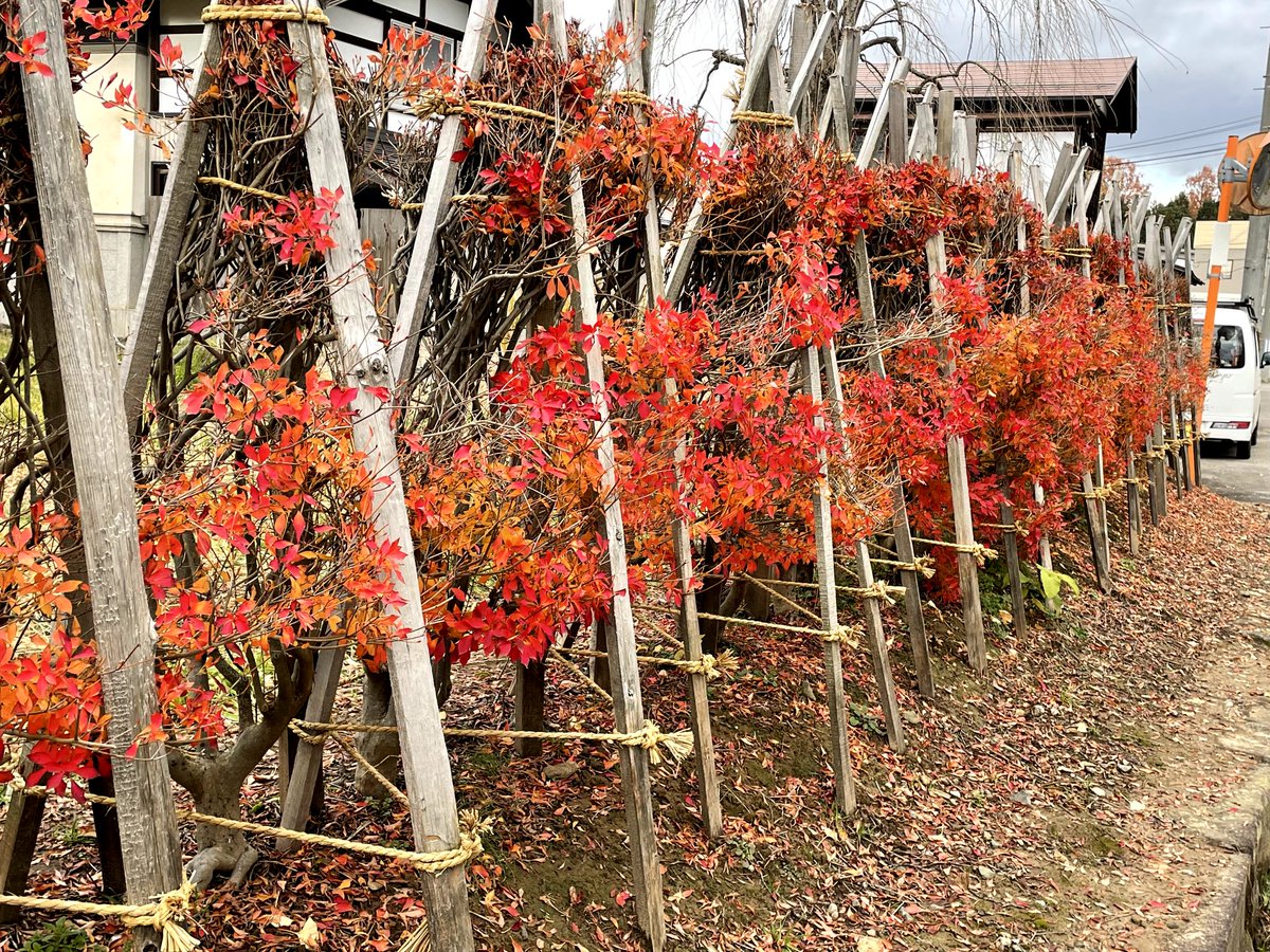 ktkkk's tweet photo. #見た人も無言で赤い何かをあげる https://t.co/l2una6gwiP