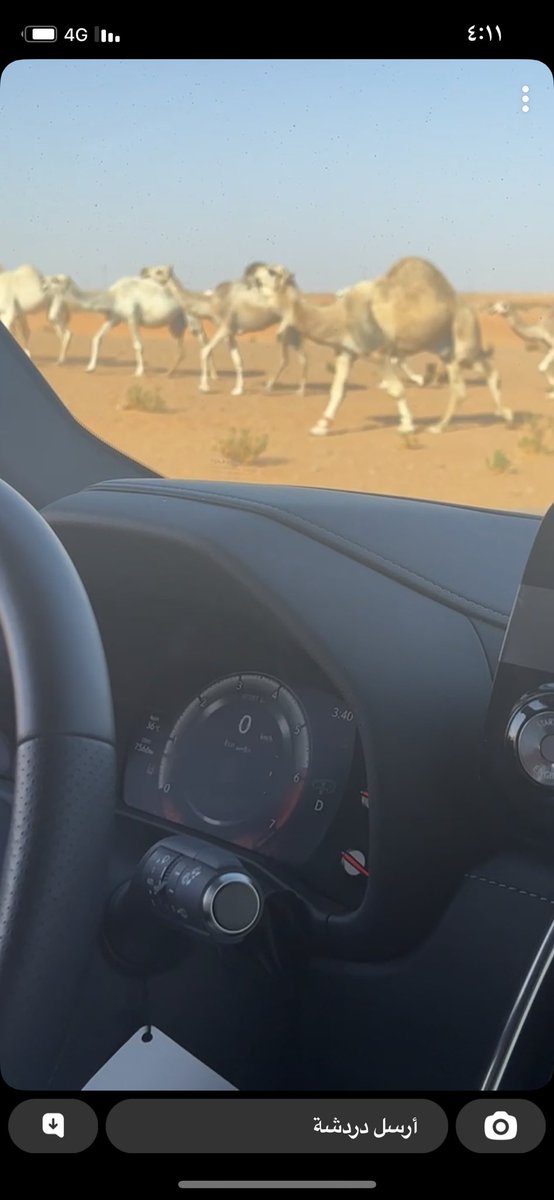 بندر بن سعد بن ناحي (@bander12345b) on Twitter photo 