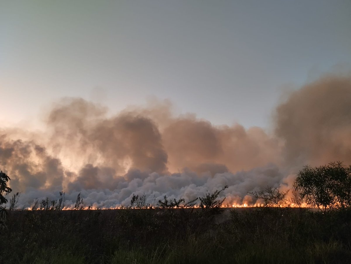 BomberosCaacupe's tweet photo. Incendio Forestal de importante magnitud. Se presume que inició con una quema de cubiertas. Ya arrasó una buena parte boscosa de la zona. Km 59.500 Camino a Tobati. Voluntarios de nuestra Institución en el lugar. https://t.co/NNGyYnwDHN