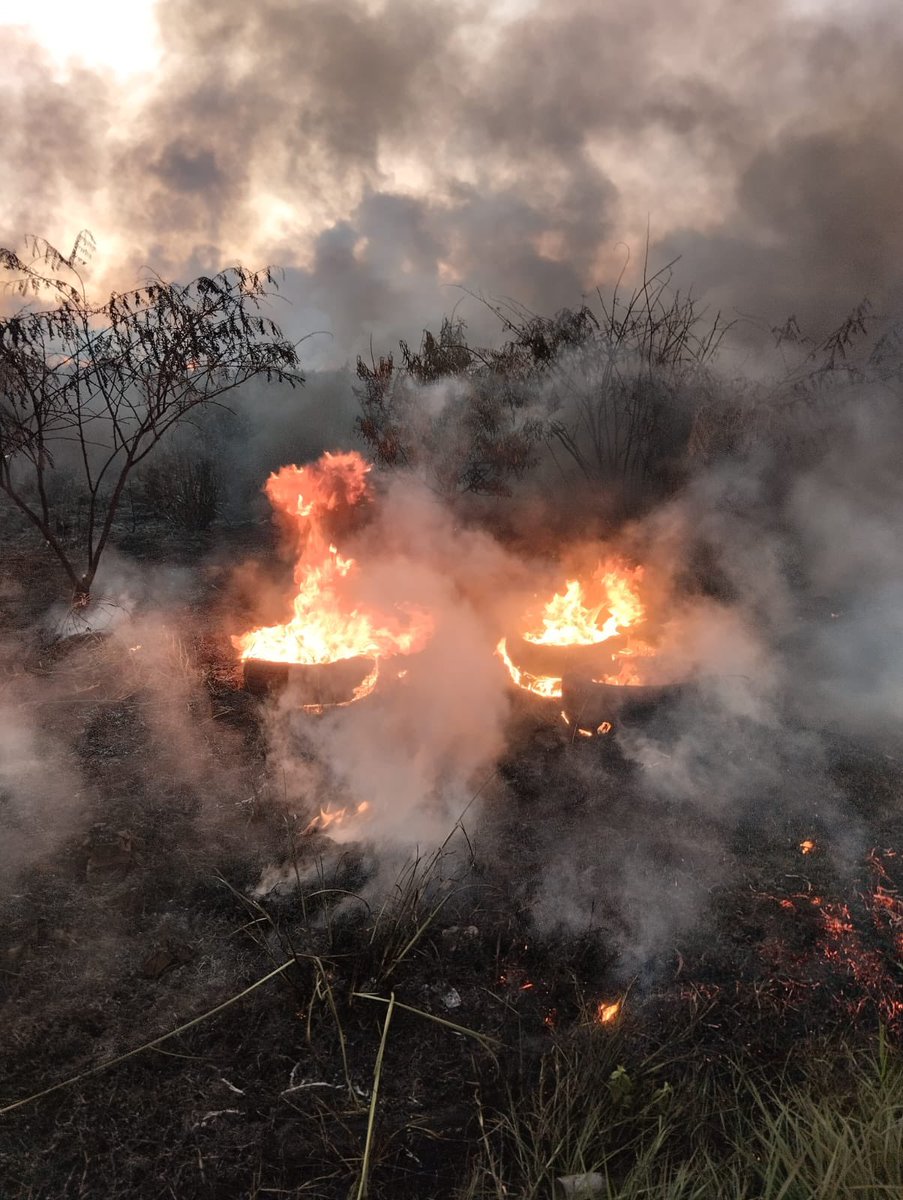 BomberosCaacupe's tweet photo. Incendio Forestal de importante magnitud. Se presume que inició con una quema de cubiertas. Ya arrasó una buena parte boscosa de la zona. Km 59.500 Camino a Tobati. Voluntarios de nuestra Institución en el lugar. https://t.co/NNGyYnwDHN