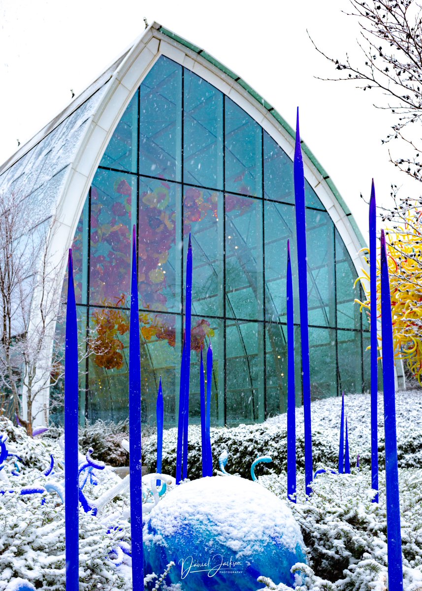 Chihuly Garden and Glass tweet media