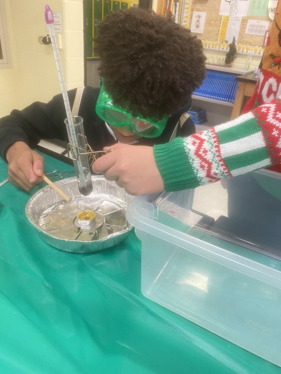 sciwithmrse's tweet photo. Students roasted marshmallows and sunflowers to determine how much energy each food contains. https://t.co/dS3lBLiwSF
