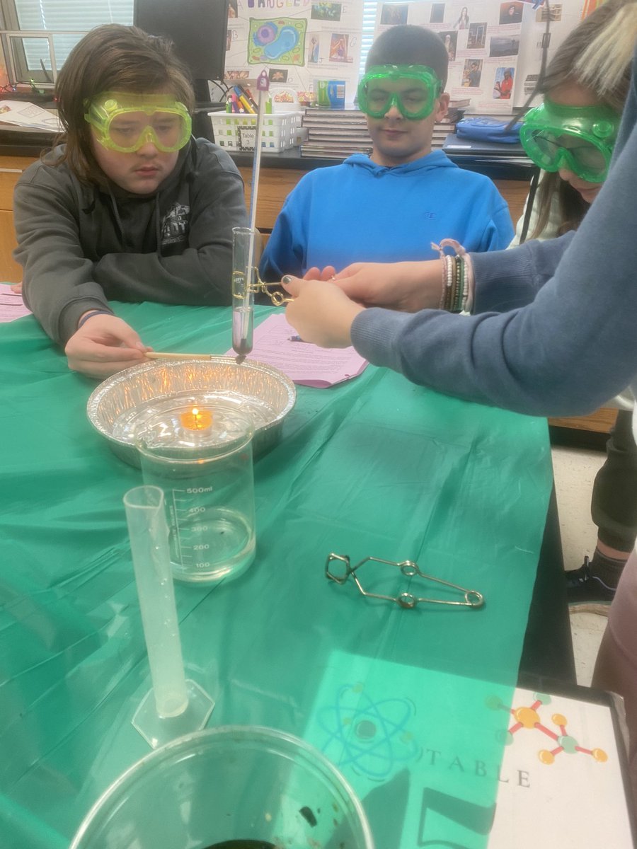 sciwithmrse's tweet photo. Students roasted marshmallows and sunflowers to determine how much energy each food contains. https://t.co/dS3lBLiwSF