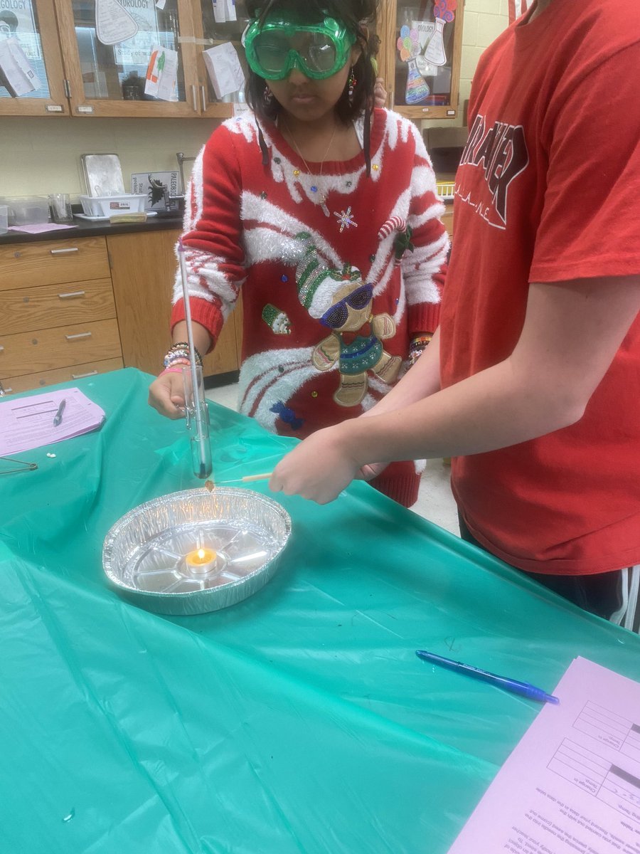 sciwithmrse's tweet photo. Students roasted marshmallows and sunflowers to determine how much energy each food contains. https://t.co/dS3lBLiwSF