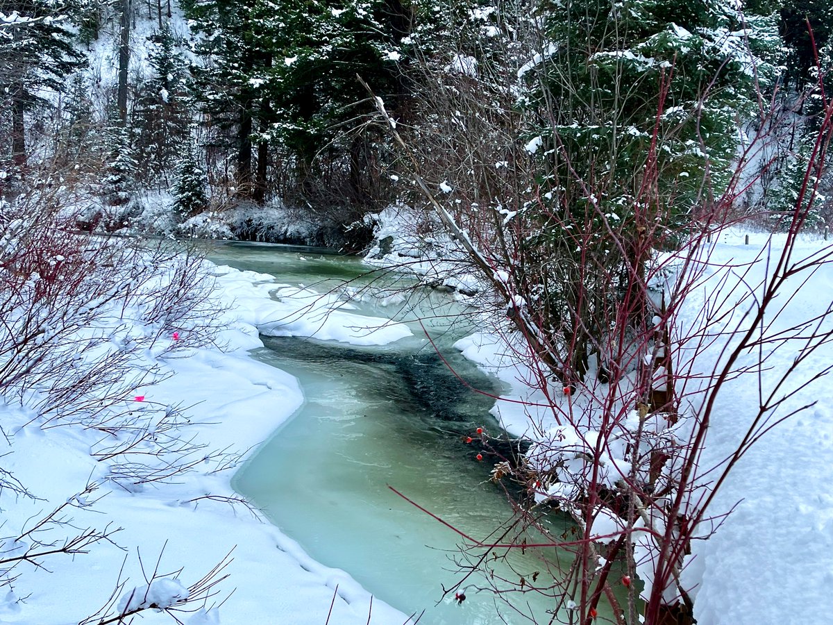 JasonKechely's tweet photo. No swimming in Hyalite today... 😞🥶
#MTWinter #MakeTrucksGo https://t.co/bJYLNlzlGE