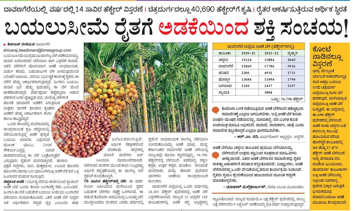 VKBeedimaniS's tweet photo. #Areca ಬಯಲುಸೀಮೆ ರೈತರಿಗೆ ಅಡಕೆಯಿಂದ ಶಕ್ತಿ ಸಂಚಯ.. ಒಂದೇ ವರ್ಷದಲ್ಲಿ 14 ಸಾವಿರ ಹೆಕ್ಟೇರ್ ಕಂಗು ಬೆಳೆ ವಿಸ್ತರಣೆ. ವಿಕದಿಂದ ಚನ್ನಗಿರಿಯಲ್ಲಿ ಡಿ.22ರ ಗುರುವಾರ ಚಿತ್ರದುರ್ಗ-ದಾವಣಗೆರೆ ಜಿಲ್ಲೆಯ ಅಡಕೆ ಬೆಳೆಗಾರರ ಸಮಾವೇಶ,,. @editor_vk @Sudarshanvk2 @katranjeet @shhargiVK @RajeevaVK @yalanadumanju @raju_yathi https://t.co/HLCLudJQ3l