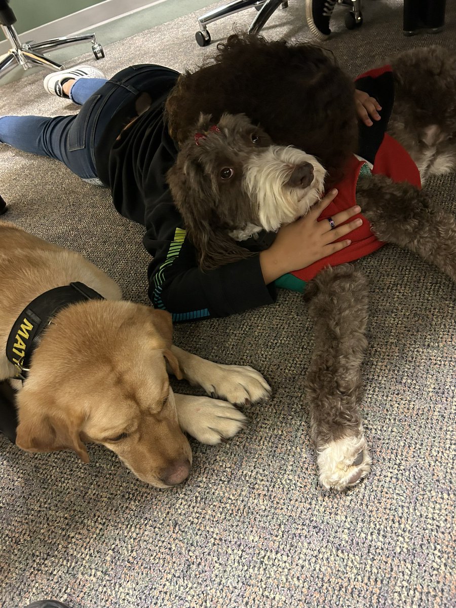 FCSOCrisisK9's tweet photo. One of our duties is to provide comfort to child victims during meetings prior to trial. Bindi and Mattis teamed up to provide all the comfort they could to this child. Very proud of our team. https://t.co/HiFI0eues3