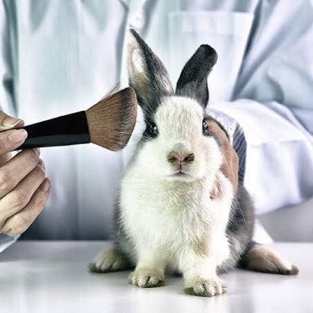 choquei's tweet photo. 🚨AGORA: Senado aprova proibição de uso de animais em testes para cosméticos. https://t.co/ovCzzrOhYr
