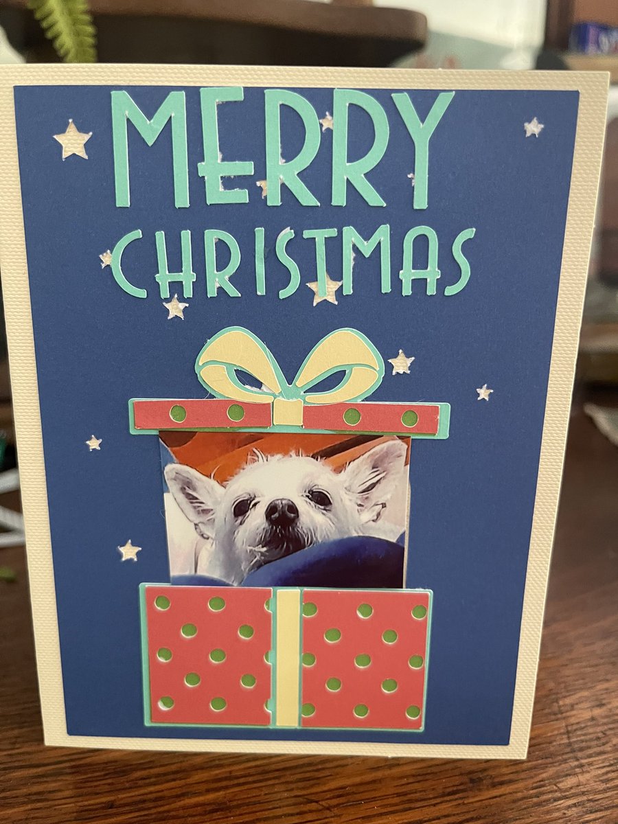 Is this not the sweetest hand made Christmas card you’ve ever seen? Thank you so much to <a href="/djmelbau/">𝔻jmelbau</a> and beautiful Bella. Hope you both have Have the best Christmas ever ❤️. @LolaJakeTheKiw1 #ZSHQ #Christmas #dogsoftwitter