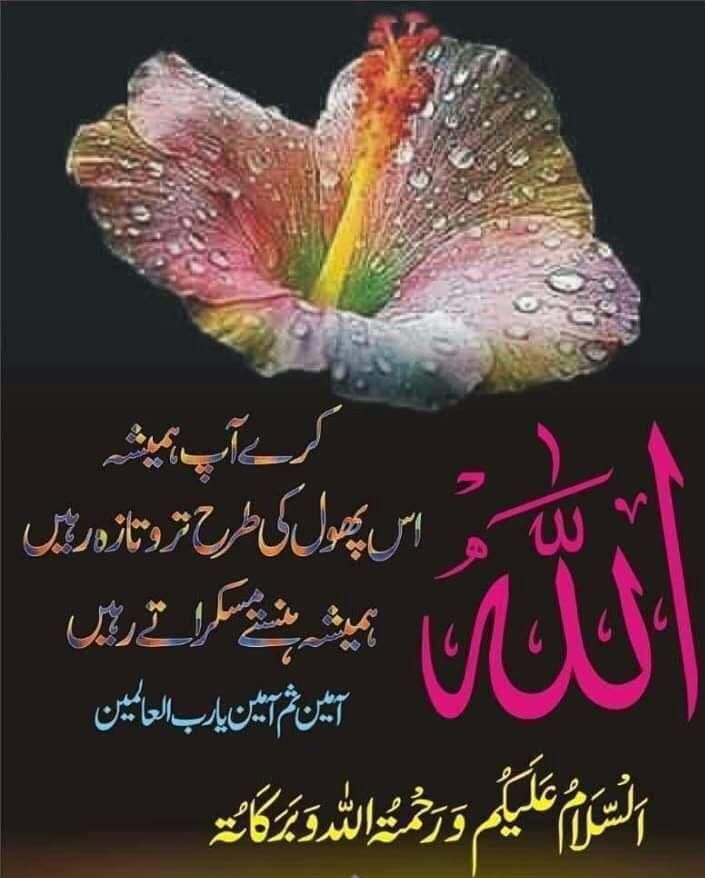 🌹اسلام وعلیکم 🌹
❤️💚صبح بخیر💚❤️
