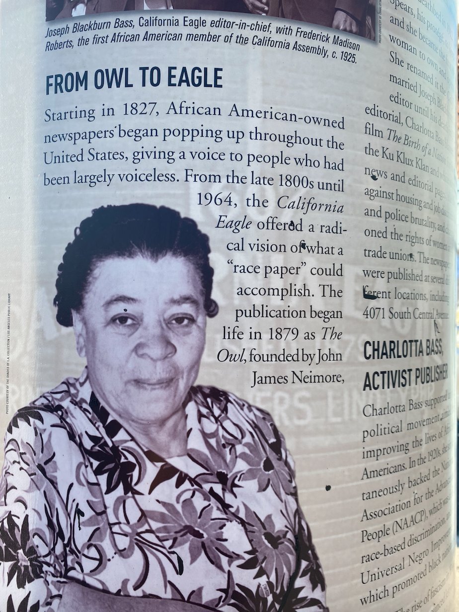 LA Commons on Twitter "Did you know the California Eagle, an African