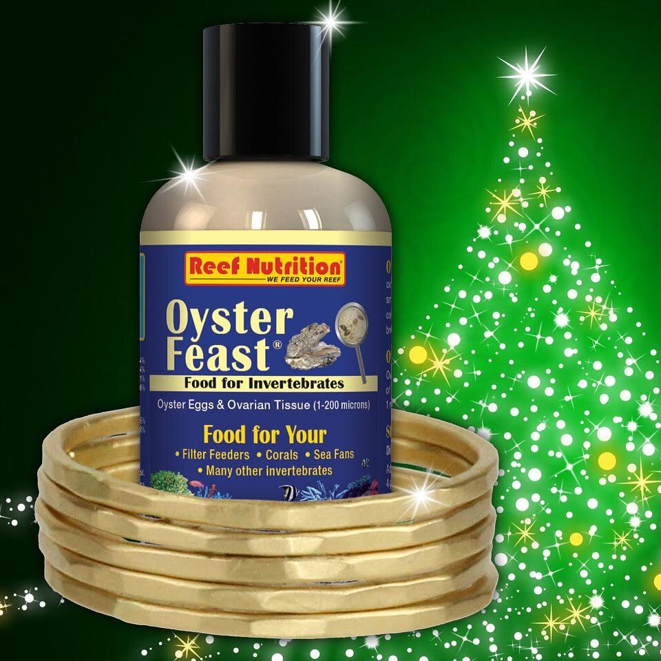 ReefNutrition's tweet photo. What’s under your tree this Holiday? We are getting very festive here at Reef Nutrition. 

#reefnutrition #reedmariculture #podlife #holidays #wefeedyourreef #theplanktonpeople #oysterfeast https://t.co/pItaOZIvnJ