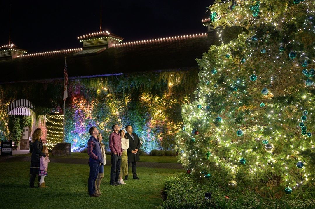 HandwrittenWine's tweet photo. ✨ Yountville's all lit up and aglow with that yuletide spirit, ready to receive you and your guests through the holidays. Explore Yountville at https://t.co/aV7xJlGGbJ and we'll see you all in town soon! Happy Holidays!

📸: @vintagehousenv via Explore Yountville Facebook Page https://t.co/WzIYemRewV