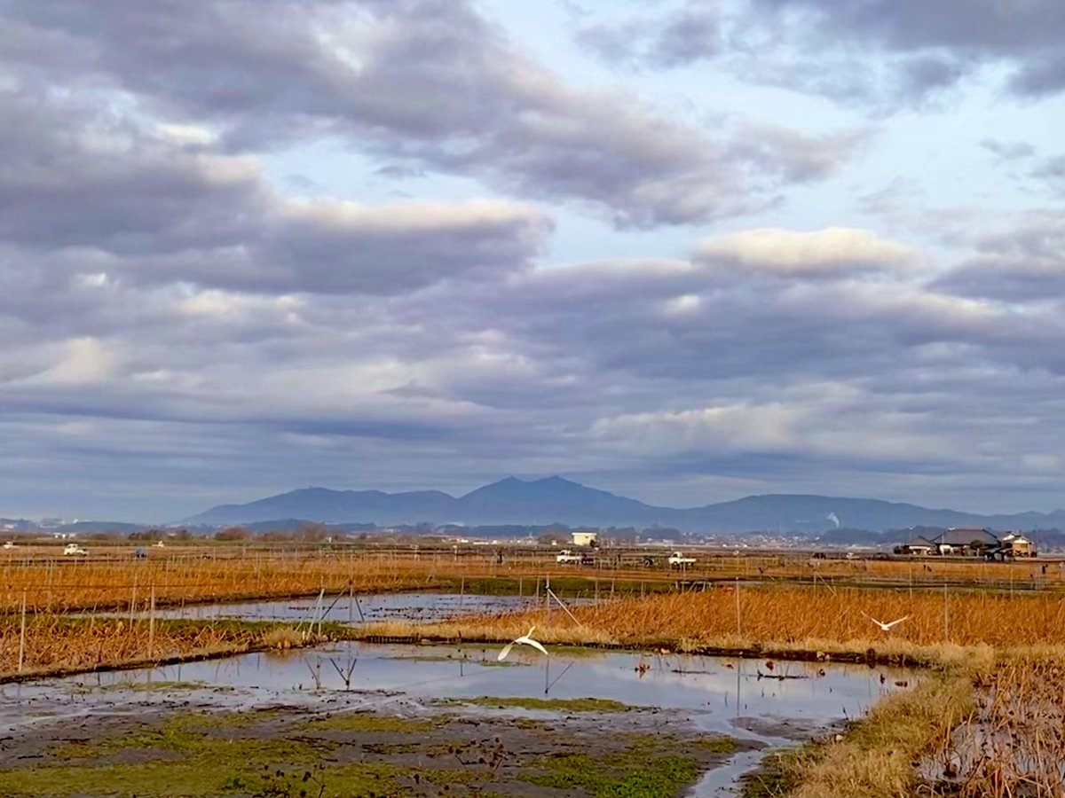 霞ヶ浦朝景〜筑波山(12/21)

今朝の霞ヶ浦は曇り空ですが、筑波山は姿を現しました。

霞ヶ浦朝景〜筑波山
撮影時刻7:35〜7:51
曇り、気温1℃、北西1m/s