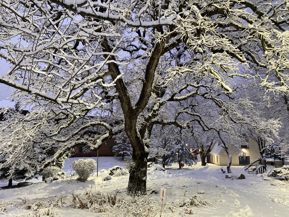 Winter running is cold but worth the views after a fresh snow. This was a few days ago but I’m finally sharing here. <a href="/KelceyFox9/">Kelcey Carlson</a> - any good snow runs for you lately before the cold snap?