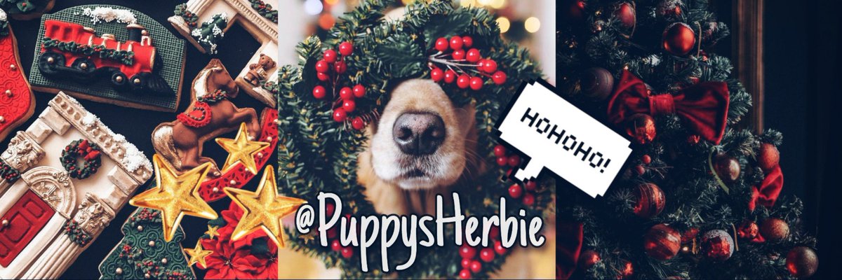 hanniboo.❦ooc New Layout made by me.