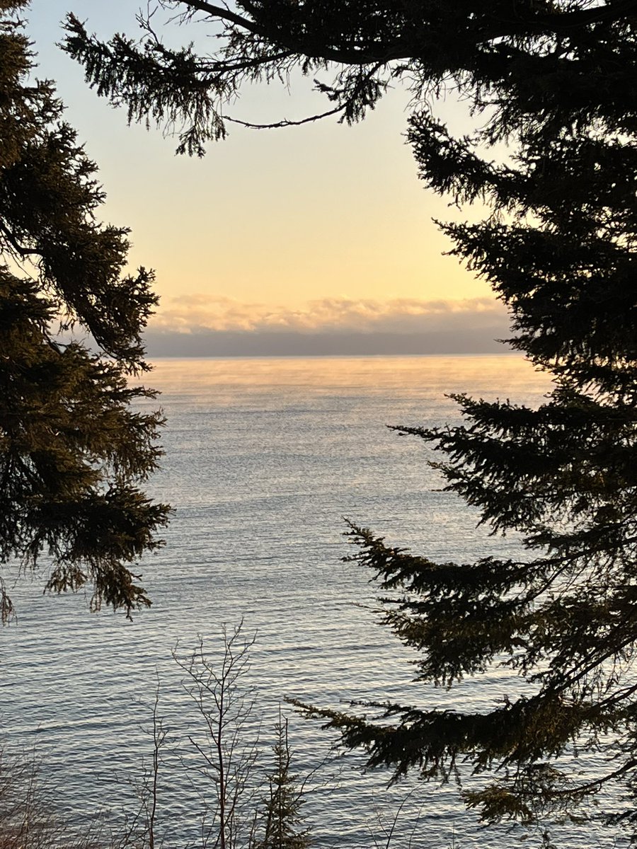 Jonathan Schilling tweet media